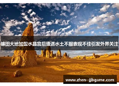 镰田大地加盟水晶宫后遭遇水土不服表现不佳引发外界关注 镰田大地加盟水晶宫后遭遇水土不服表现不佳引发外界关注